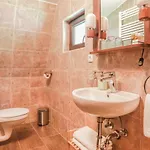 Pibernik (adults Only) 4*