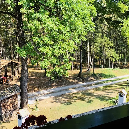 Bed & Breakfast Pibernik (adults Only) Bled