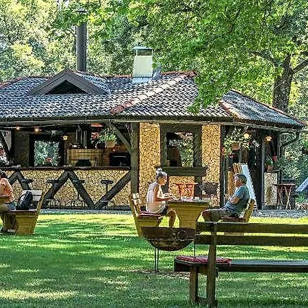 Pibernik Bled