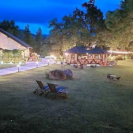 Pibernik 4*