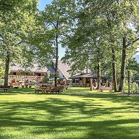 Pibernik