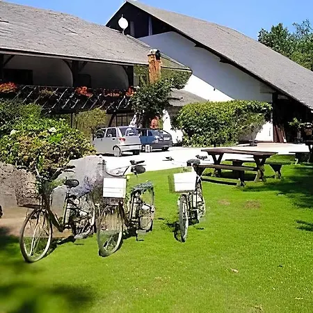 Pibernik 4*