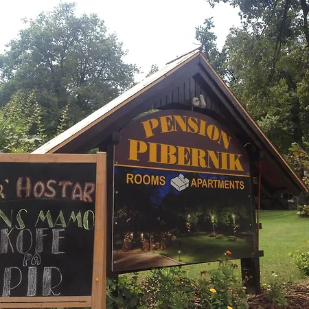 Pibernik (adults Only) ブレッド