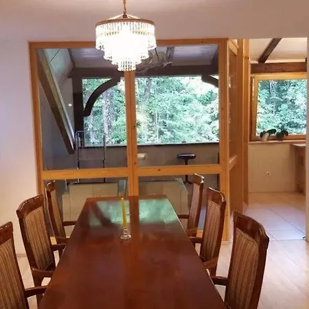 Pibernik (adults Only) ブレッド